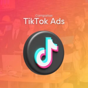 TikTok Ads